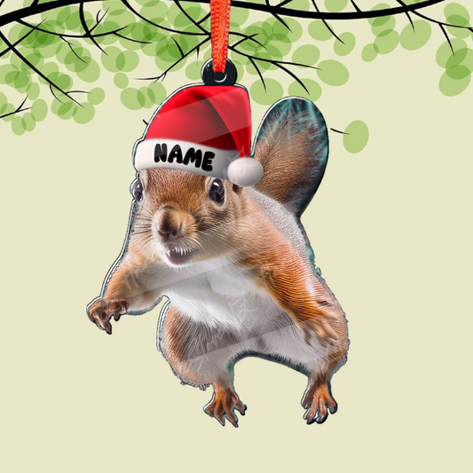 Personalized Funny Squirrel Christmas Ornament, Custom Name Squirrel Lover Ornament ON0821