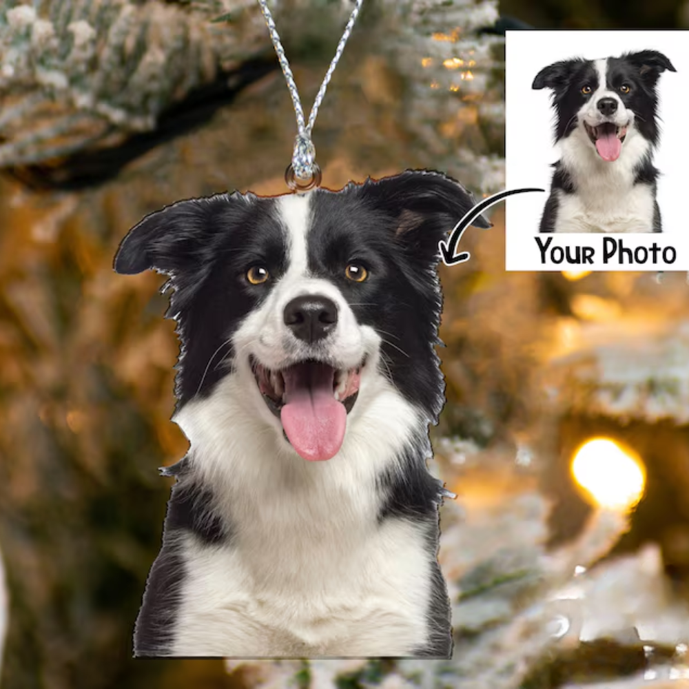 Personalized Photo Dog Christmas Ornaments 2024, Custom Photo Dog Cat Pet Christmas Ornament ON0298