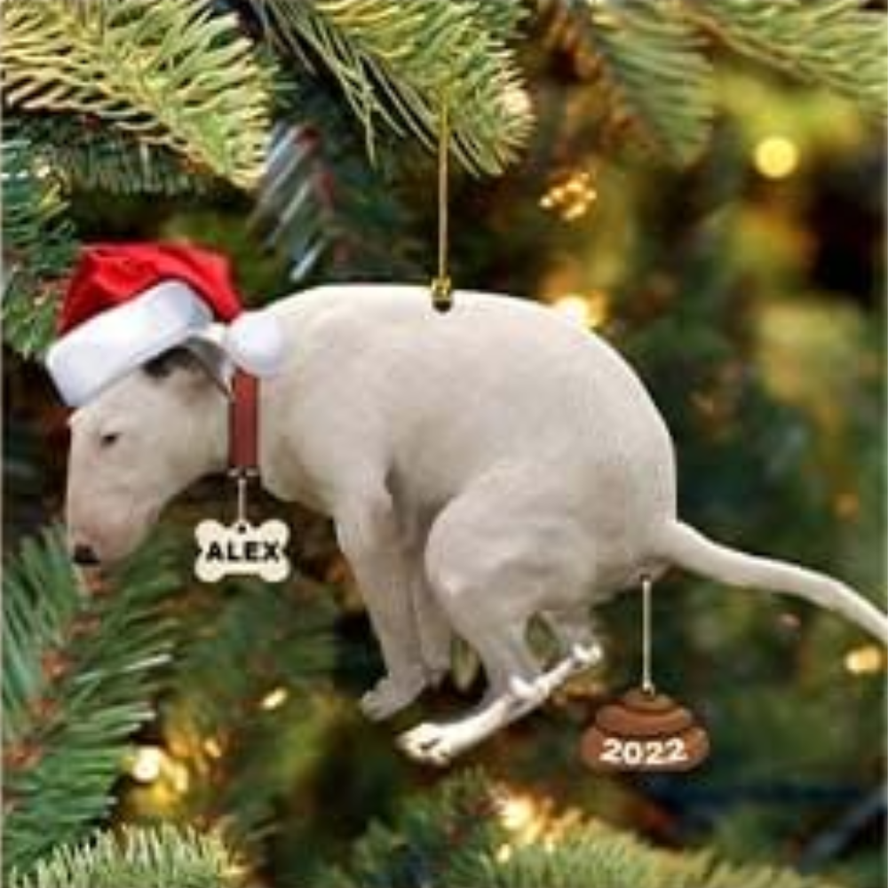 Personalized Funny Dog Pooping Christmas Ornament, Custom Name Dog Lover Ornament ON0992