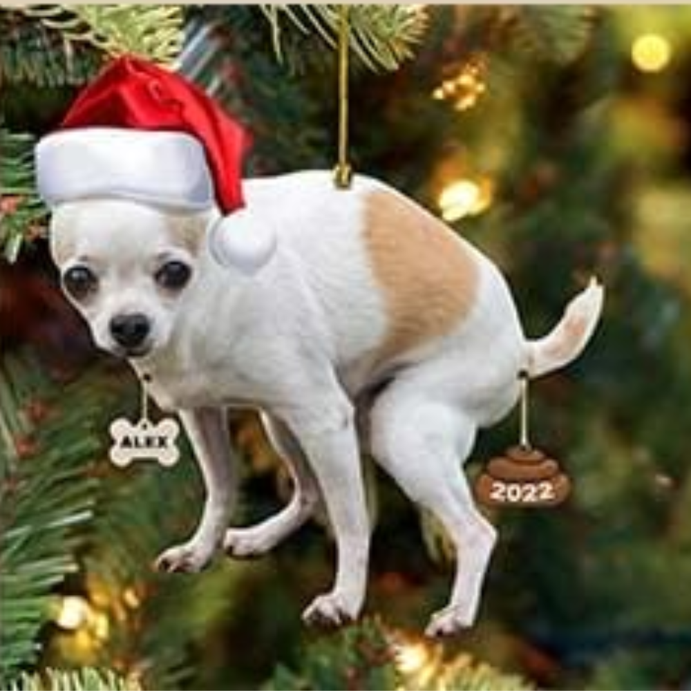 Personalized Funny Dog Pooping Christmas Ornament, Custom Name Dog Lover Ornament ON0992