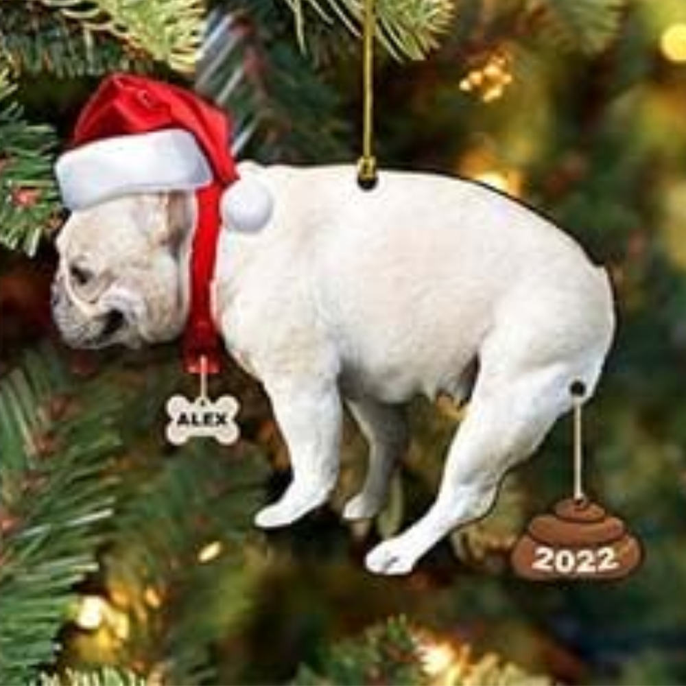 Personalized Funny Dog Pooping Christmas Ornament, Custom Name Dog Lover Ornament ON0992