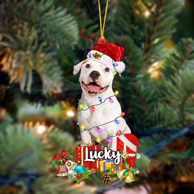 Personalized White Pitbull Christmas Ornament, Custom Name White Pitbull Ornament ON0578