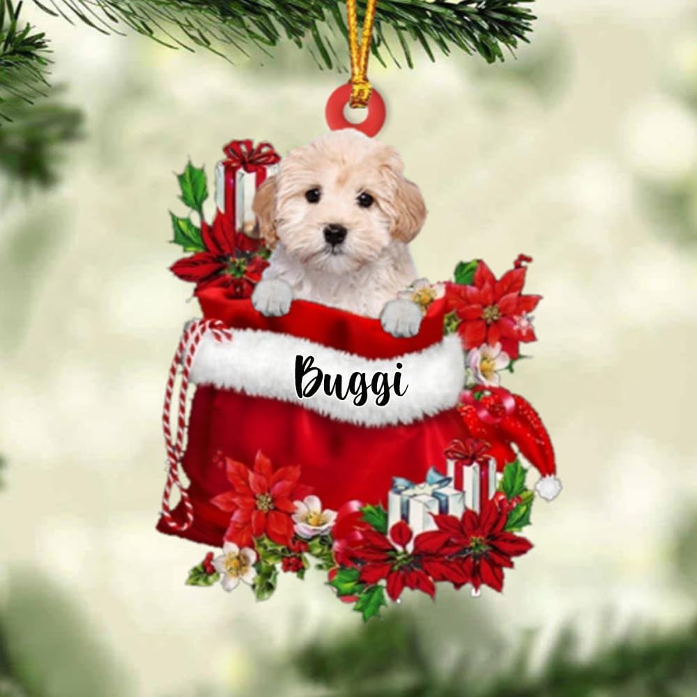 Personalized Maltipoo Dog in Gift Bag Christmas Ornament, Custom Name Dog Lover Ornament ON0658