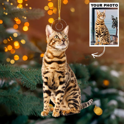 Personalized Photo Pet Christmas Ornament, Custom Ornaments with Pictures Using My Own Photos ON0086