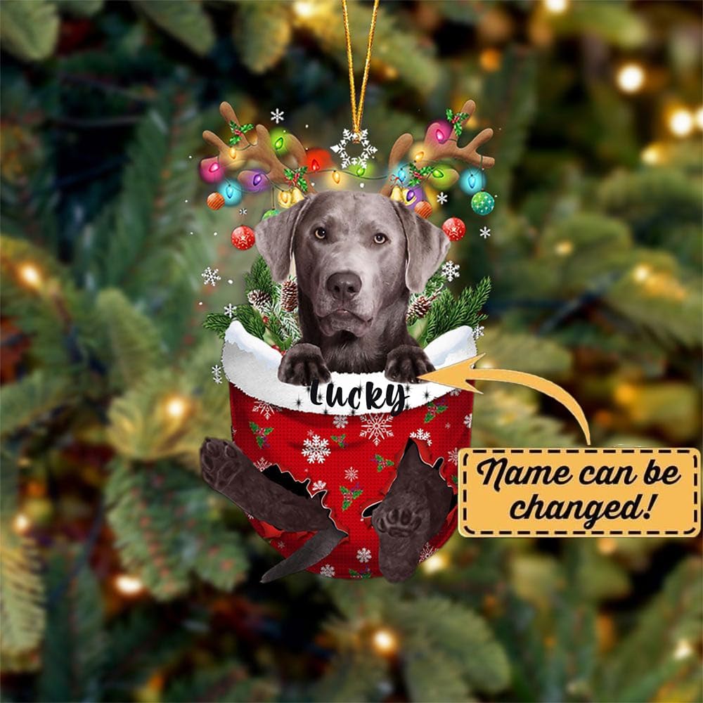 Personalized Silver Labrador in Snow Pocket Christmas Ornament, Custom Dog Lovers Ornament ON0655