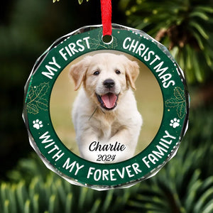 Custom Photo Joy To The World, My Pet Has Come - Dog & Cat Personalized Custom Circle Glass Ornament, Custom My First Christmas Ornament ON0446