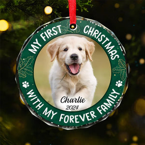 Custom Photo Joy To The World, My Pet Has Come - Dog & Cat Personalized Custom Circle Glass Ornament, Custom My First Christmas Ornament ON0446