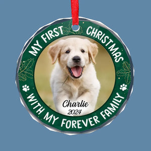 Custom Photo Joy To The World, My Pet Has Come - Dog & Cat Personalized Custom Circle Glass Ornament, Custom My First Christmas Ornament ON0446