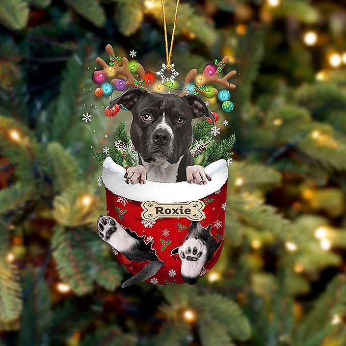 Personalized Black American Pitbull Terrier in Snow Pocket Christmas Ornament,Custom Name American Pitbull Terrier Dog Ornament ON0557