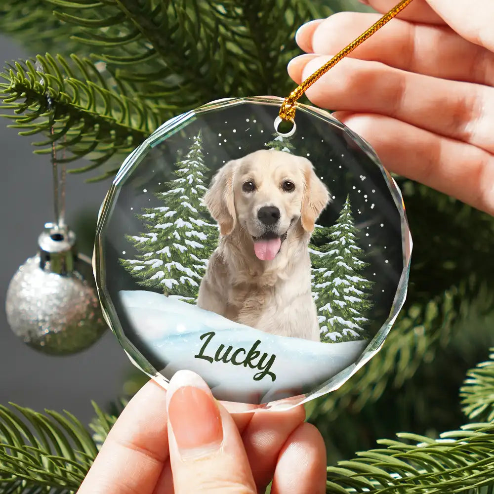 Custom Photo Pet Face - Christmas Ornament For Dog Lovers, Cat Lovers, Pet Lovers, Pet Memorial - Personalized Circle Glass Ornament  ON0316