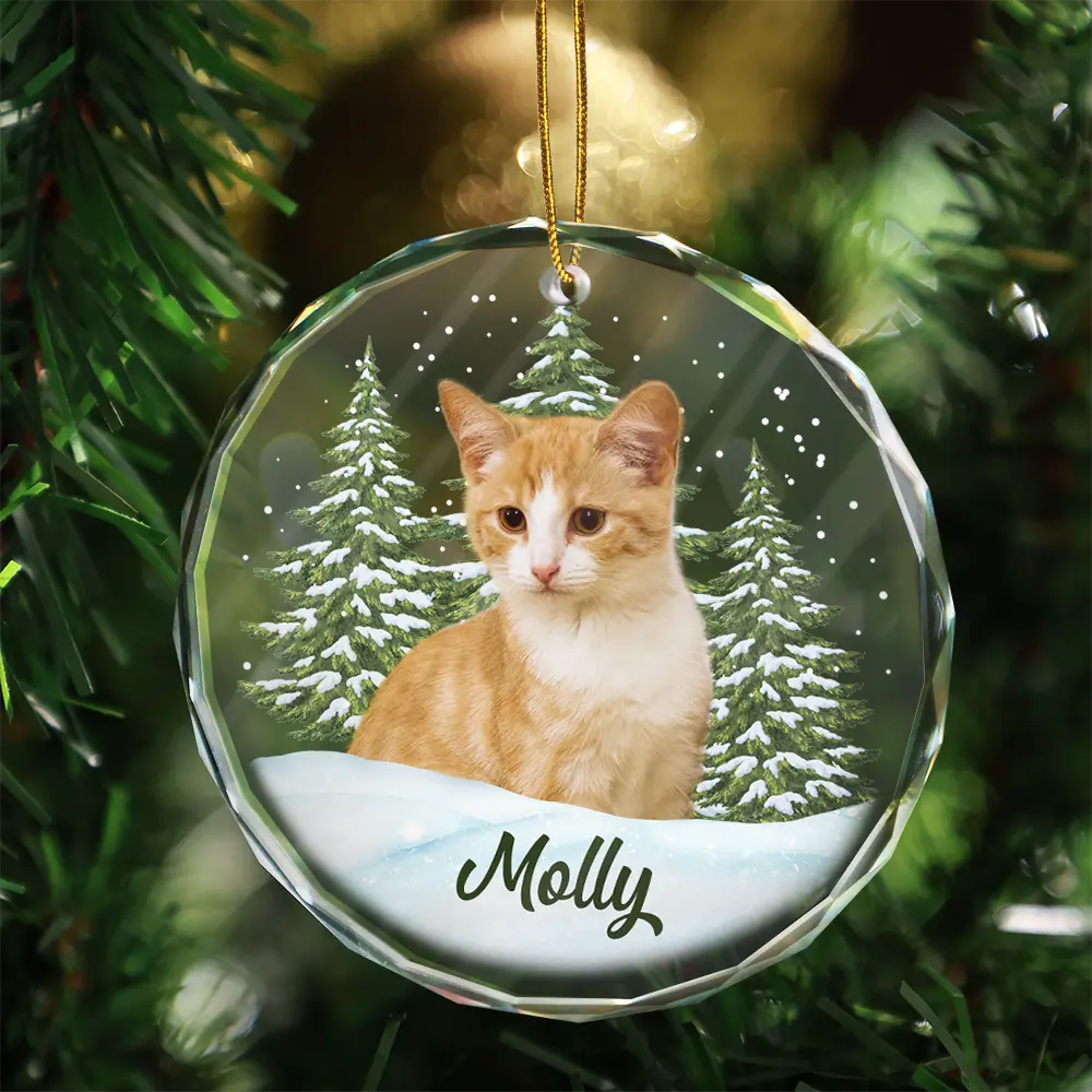 Custom Photo Pet Face - Christmas Ornament For Dog Lovers, Cat Lovers, Pet Lovers, Pet Memorial - Personalized Circle Glass Ornament  ON0316