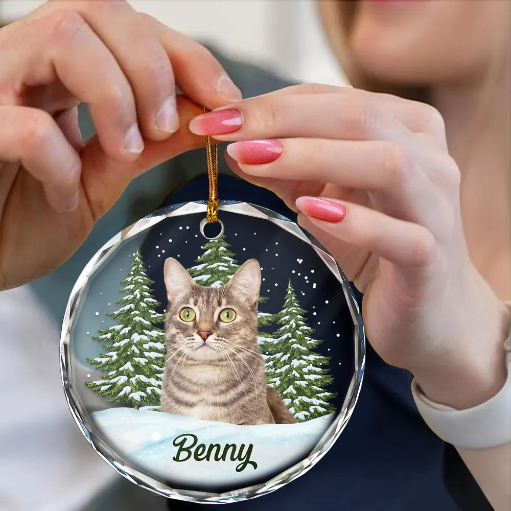 Custom Photo Pet Face - Christmas Ornament For Dog Lovers, Cat Lovers, Pet Lovers, Pet Memorial - Personalized Circle Glass Ornament  ON0316