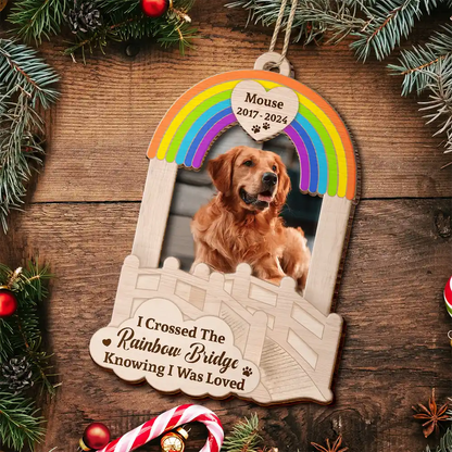 Custom Photo Dog Cat Pet Memorial We Will Meet Again - Personalized 2-Layered Wooden Ornament, Custom Photo Pet Memorial Ornament ON1060