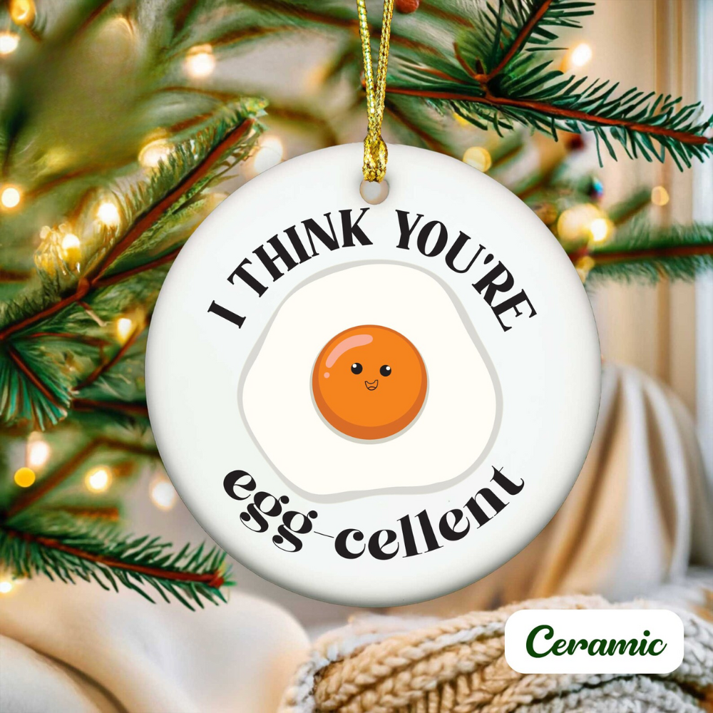 I Think You're Egg-cellent Ceramic Ornament, Funny Christmas Sarcastic Ornament ON0869