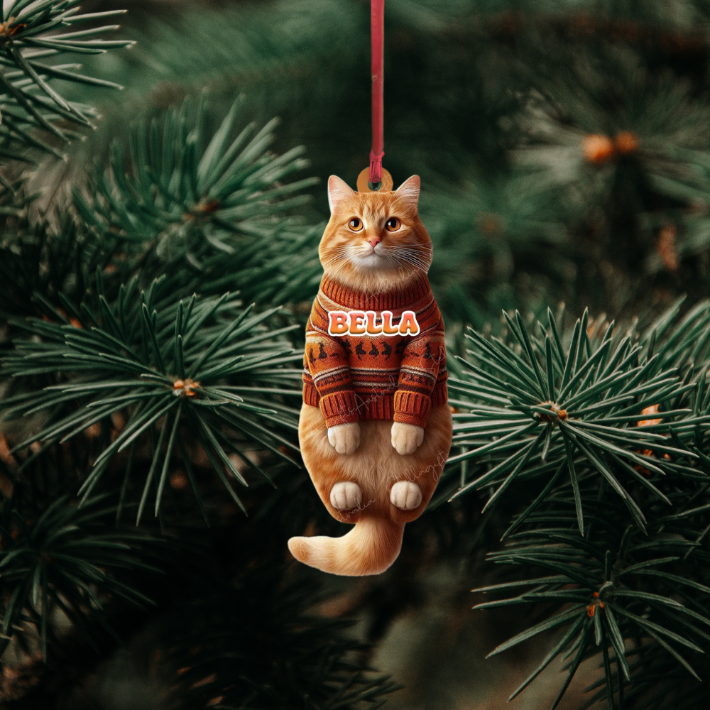 Personalized Orange Cat Hanging Christmas Ornament, Custom Name Orange Cat Ornament ON0873