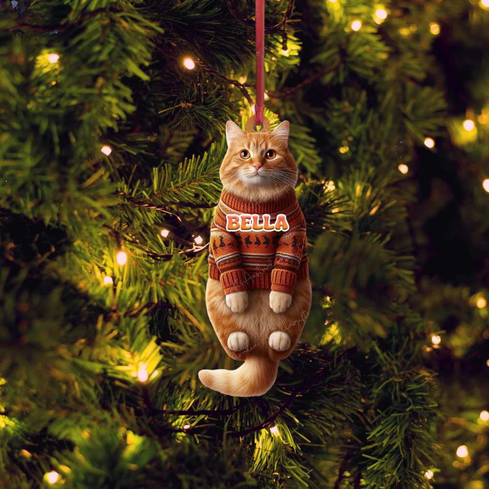 Personalized Orange Cat Hanging Christmas Ornament, Custom Name Orange Cat Ornament ON0873