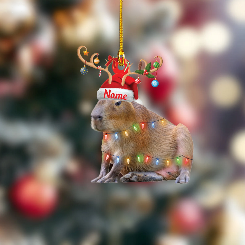 Personalized Capybara Christmas Light Ornament, Custom Name Capybara Xmas Ornament ON0788