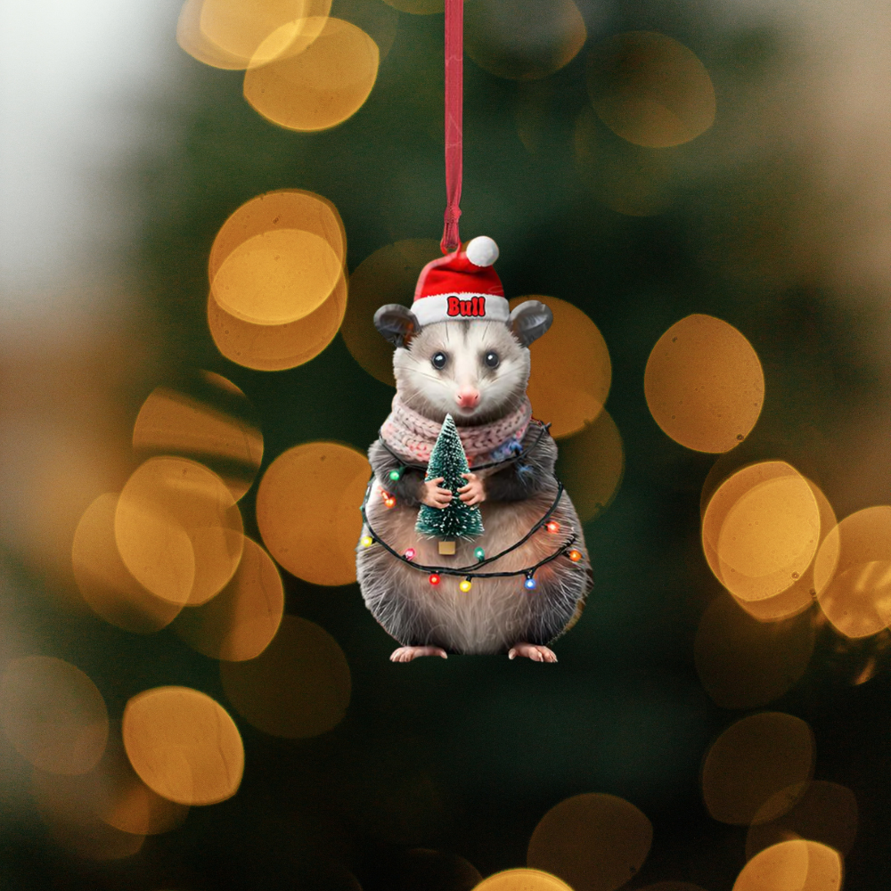 Personalized Opossum Christmas Ornament, Custom Opossum Lover Ornament ON1323