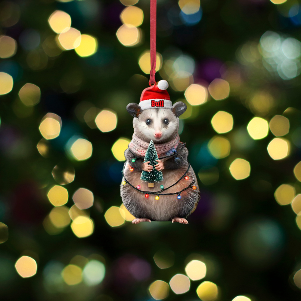 Personalized Opossum Christmas Ornament, Custom Opossum Lover Ornament ON1323