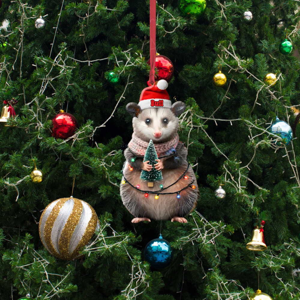 Personalized Opossum Christmas Ornament, Custom Opossum Lover Ornament ON1323