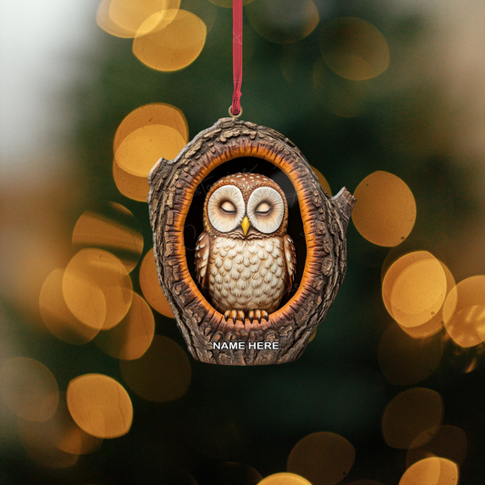 Personalized Sleeping Owl Ornament, Custom Name Owl Lover Ornament ON1326