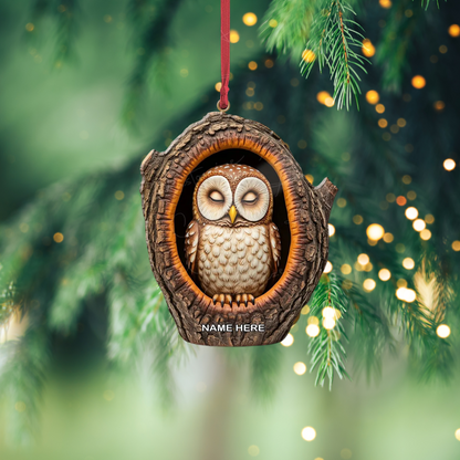 Personalized Sleeping Owl Ornament, Custom Name Owl Lover Ornament ON1326