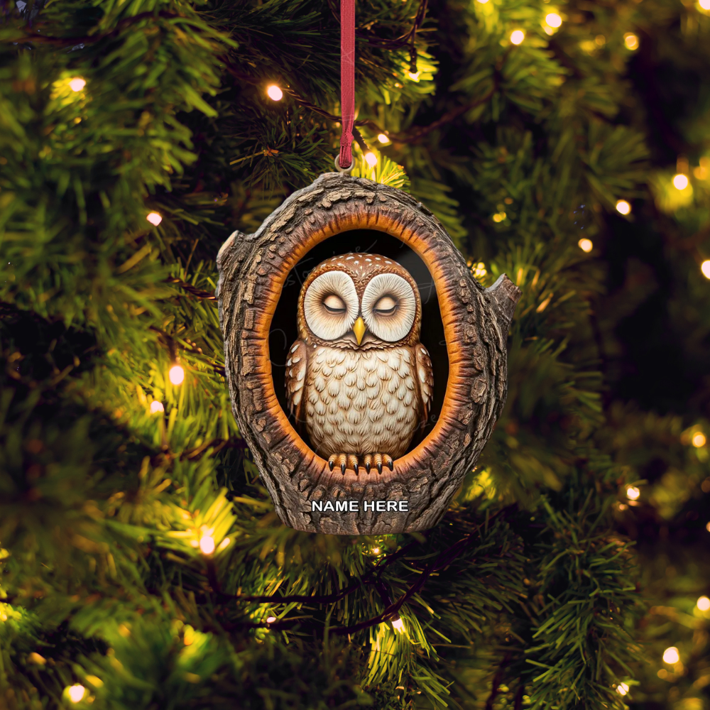 Personalized Sleeping Owl Ornament, Custom Name Owl Lover Ornament ON1326