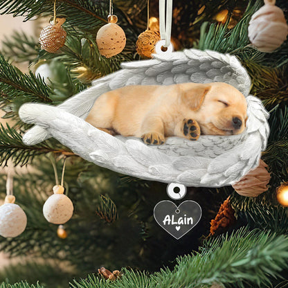 Custom Photo Sleeping Pet Within Angel Wings Ornament, Personalized Loss Pet Memorial Ornament ON0964