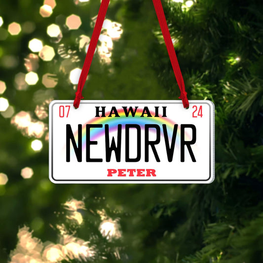 Personalized State New Driver Tag Ornament 2024, Custom Name New Driver Ornament, Custom Drivers License Christmas Ornament ON0697