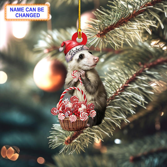 Personalized Candy Cane Opossum Christmas Ornament, Custom Name Cane Opossum Lover Ornament ON1113