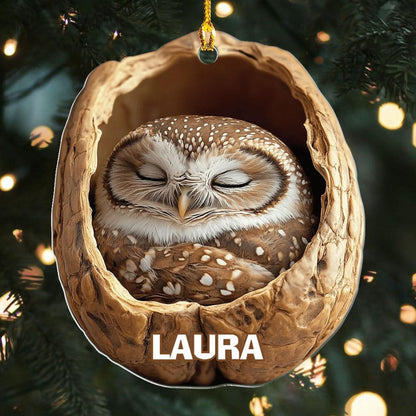 Personalized Sleeping Owl Ornament, Custom Name Owl Christmas Ornament ON1701