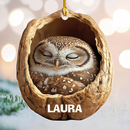 Personalized Sleeping Owl Ornament, Custom Name Owl Christmas Ornament ON1701