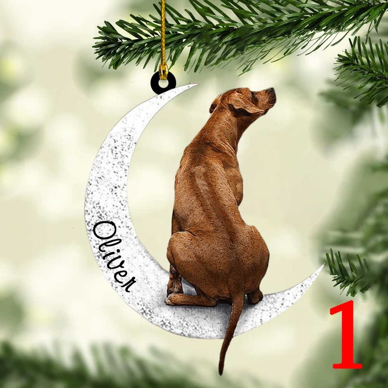 Personalized Rhodesian Ridgeback Sit On The Moon Memorial Ornament, Custom Name Rhodesian Xmas Ornament ON0549