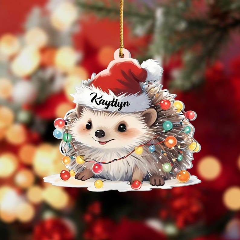 Custom Name Hedgehog Christmas Ornament, Personalized Cute Hedgehog Ornament For Hedgehog Lover ON0302