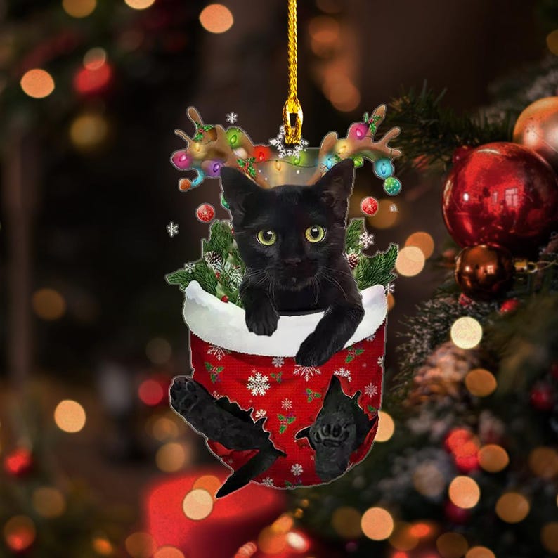 Black Cat In Snow Pocket Christmas Ornament 2024, Cat Lover Cat Kitten Owners Ornament ON0774