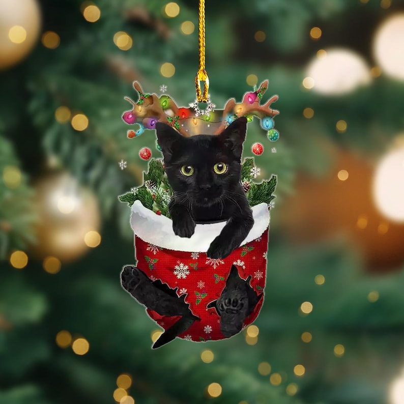 Black Cat In Snow Pocket Christmas Ornament 2024, Cat Lover Cat Kitten Owners Ornament ON0774